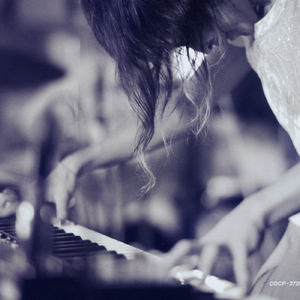 鉴黄师污版下载
