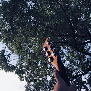 鉴黄师污版下载
